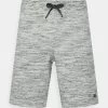 Pier One Shorts - Mottled Light Grey